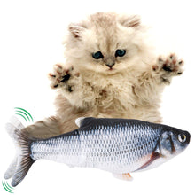 Load image into Gallery viewer, Cats Pet Playing Toy -3D Electric Fish Toys
